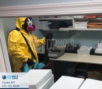 FDP Mold Remediation of Coram image 6